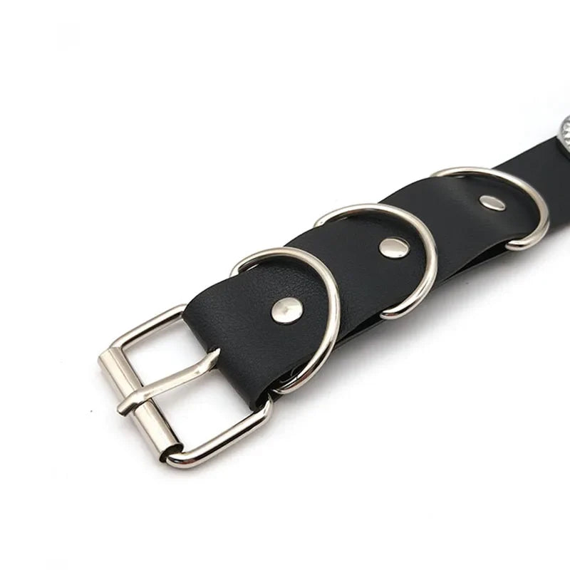 CARNIVL™ CUSTOMIZABLE Belt
