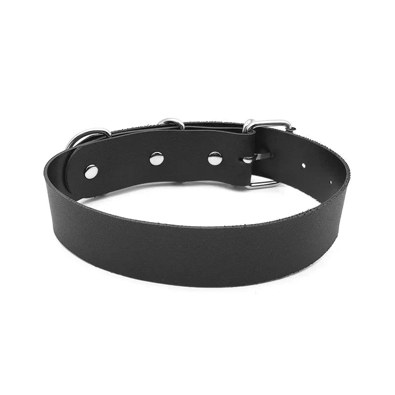 CARNIVL™ CUSTOMIZABLE Belt